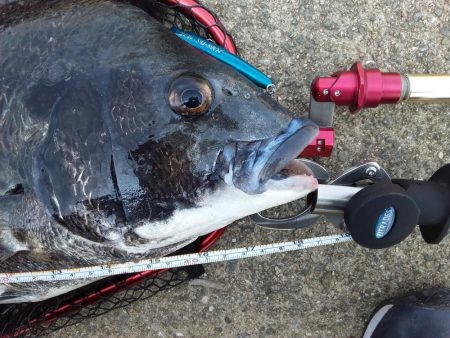 梅雨明け秒読み